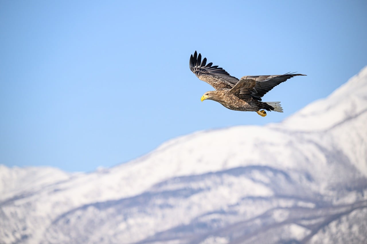 Unveiling Eagle Mountain Real Estate Secrets: Buy with Confidence