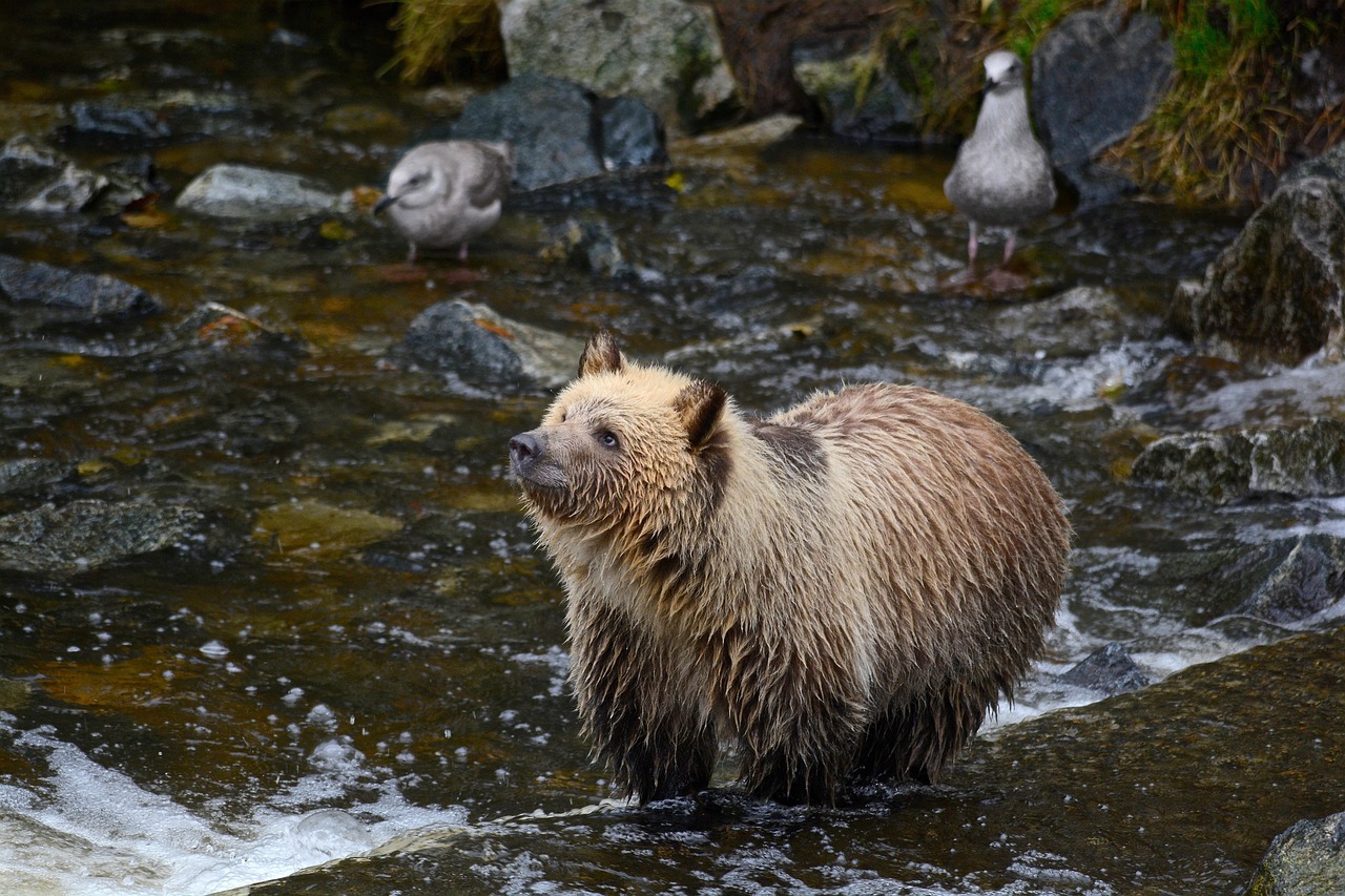 Unveiling Northwest Pointes Natural, Cultural Treasures & Adventures