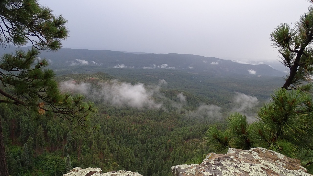 unveiling-pine-arizonas-ancient-petrogly-640x480-grqmbp