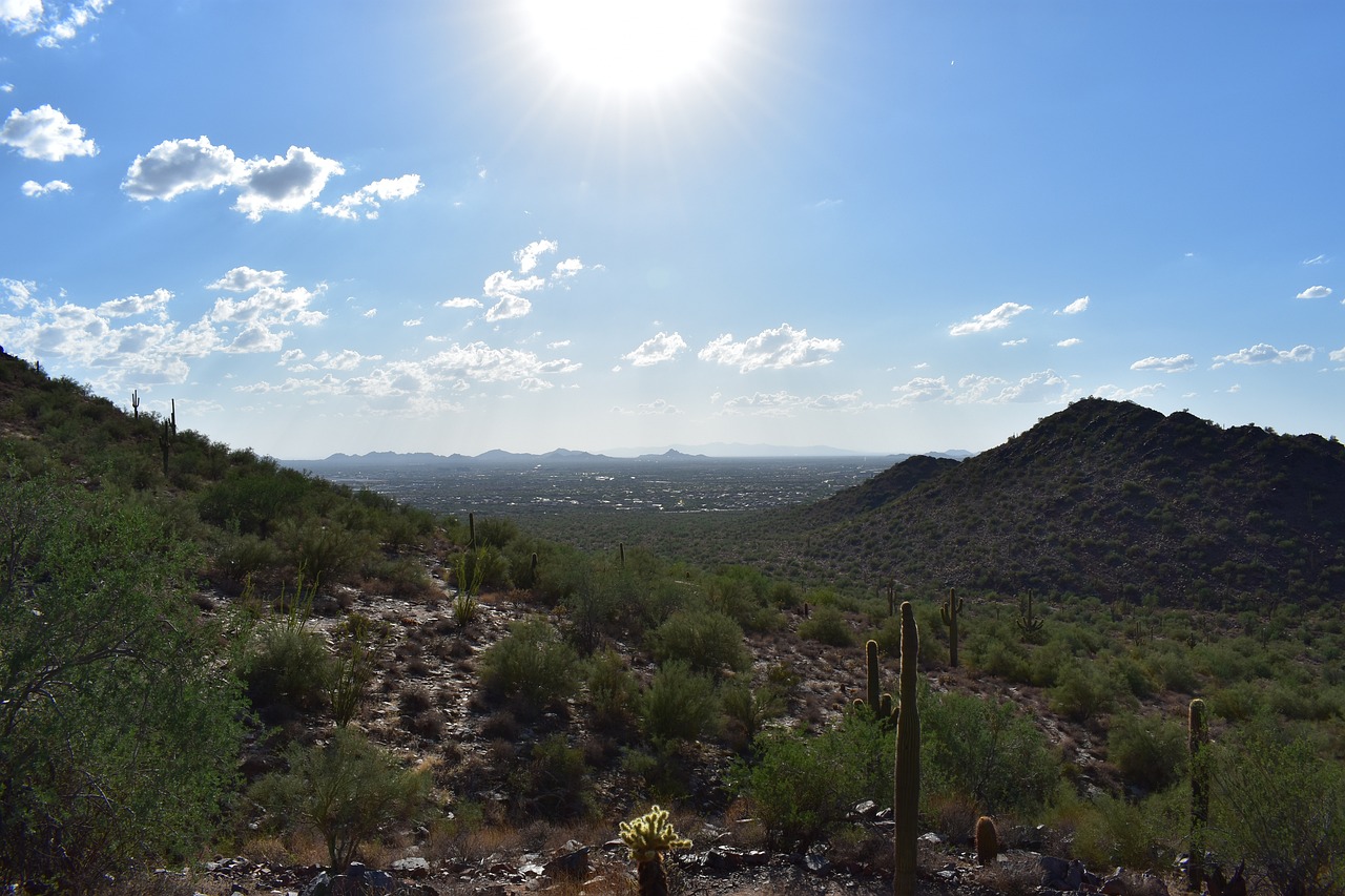 Unveiling Scottsdale Mountains Treasures: Adventures, Culture & Cuisine
