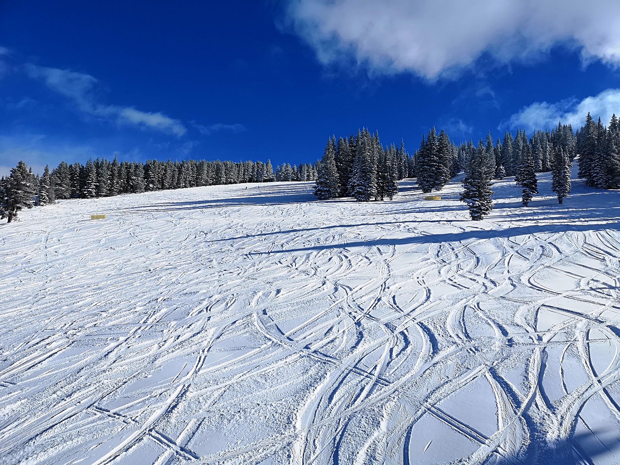 unveiling-vail-arizonas-ancient-petrogly-640x480-a3cgrp