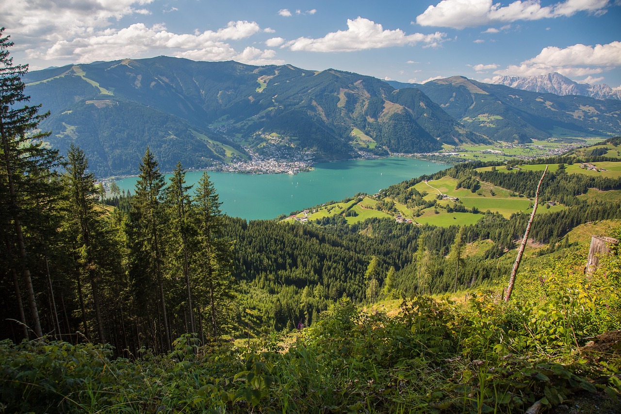 Unveiling Willcoxs Hidden Gems: Top Outdoor Attractions