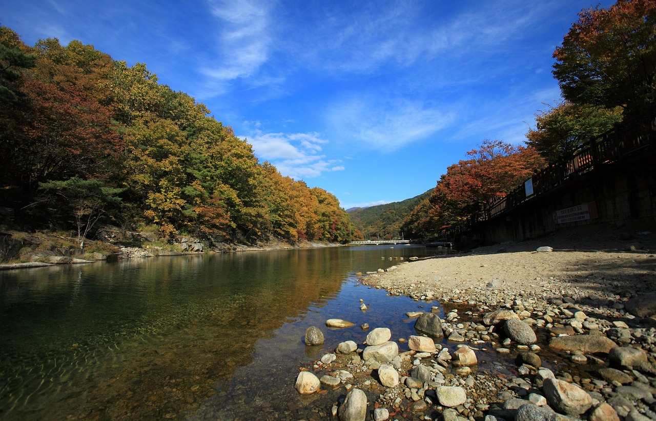 Discover Adventures and Culture Along Pecan Creek