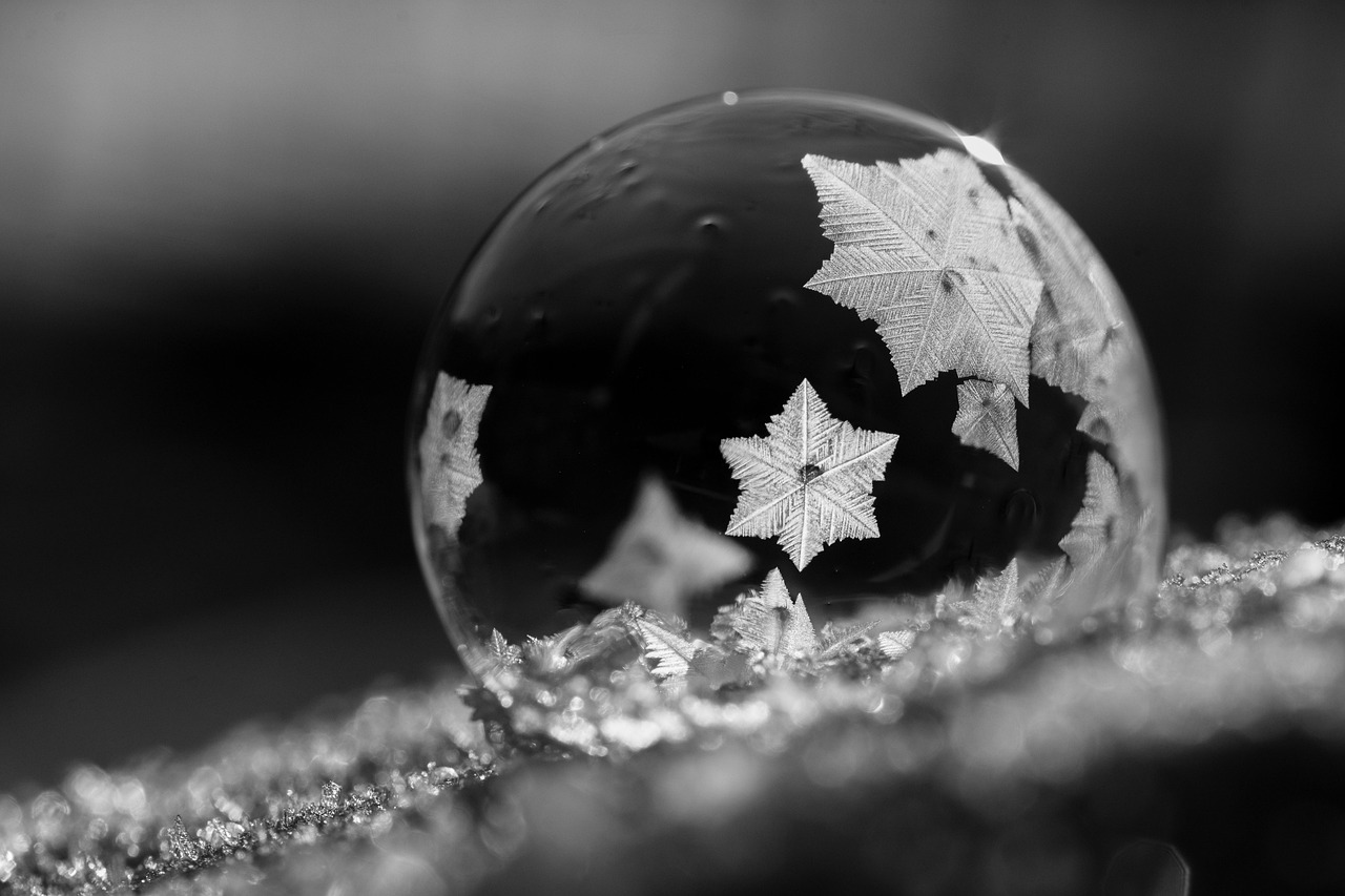 Discover Crystal Gardens Surroundings: Nature, Culture, and More