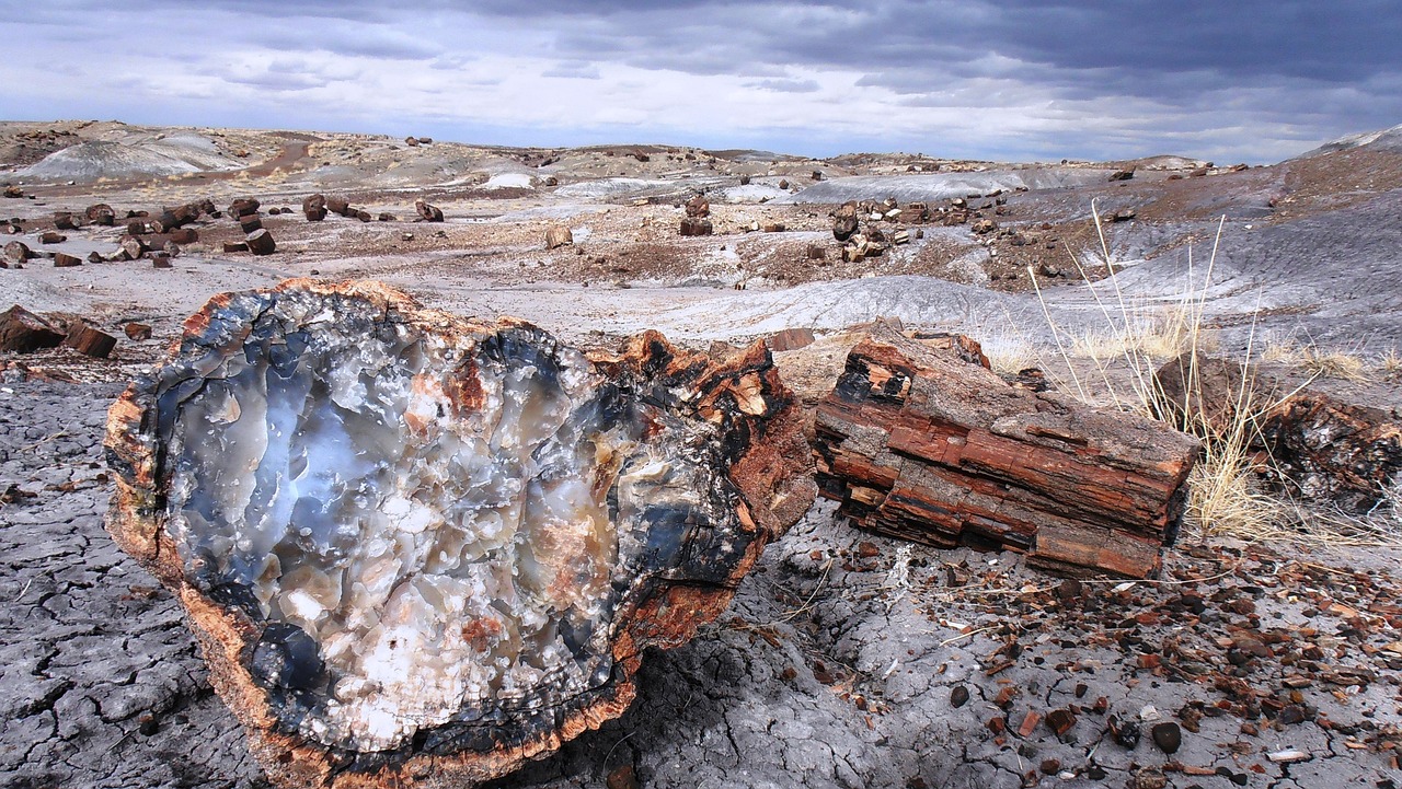 Discover Doney Park Arizona: Your Ultimate Visit Guide
