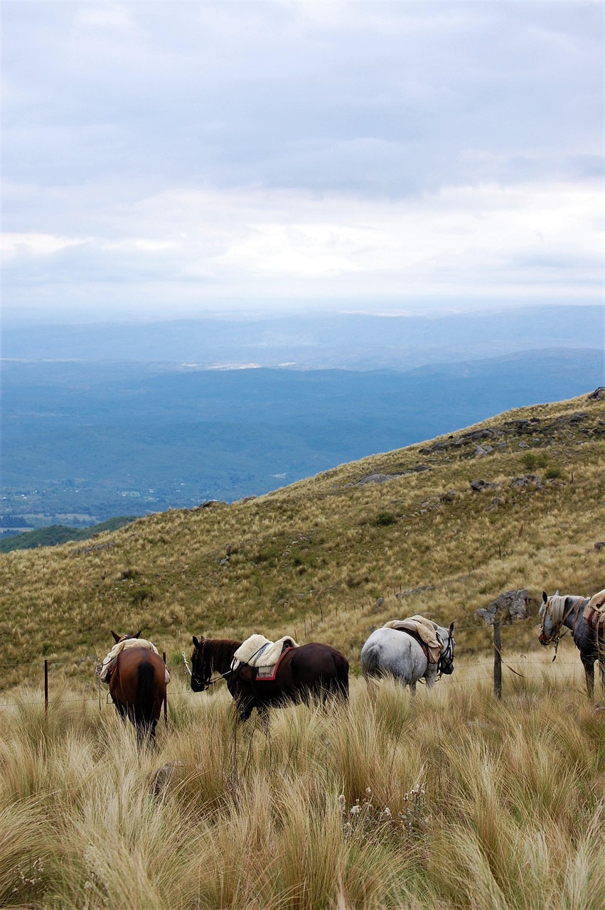 Discover Estancia Club Golf & Beyond: Locals Top Picks