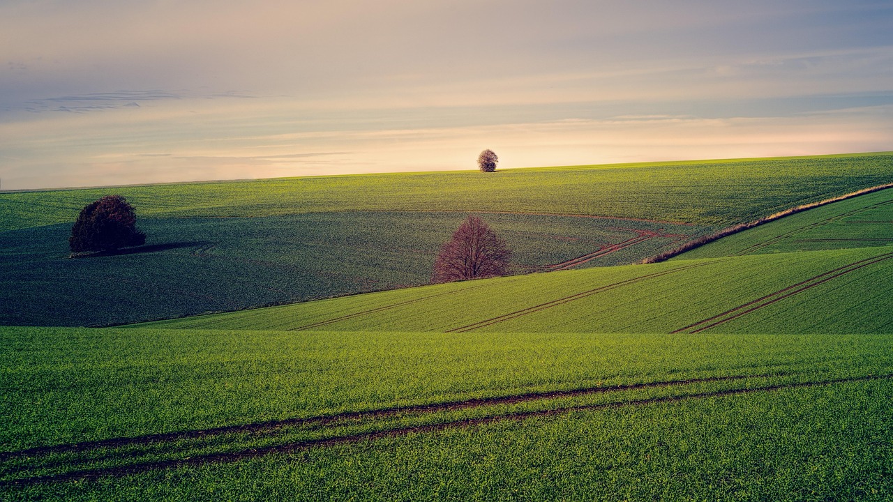 Discover Hidden Gems Around Rolling Hills Golf Estates
