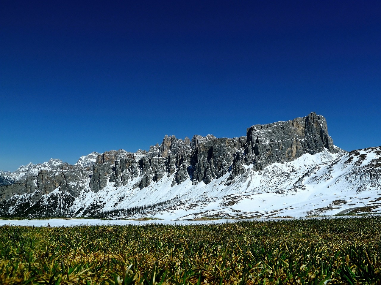 discover-nature-at-the-meadows-camino-a-640x480-pl5sb4