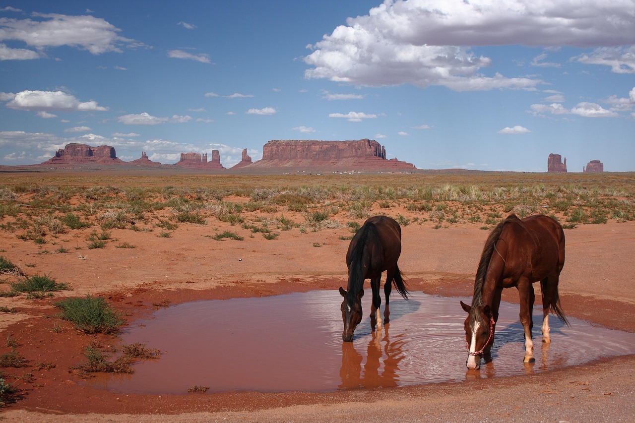 Explore Arizona Parks: Events & Activities This Month