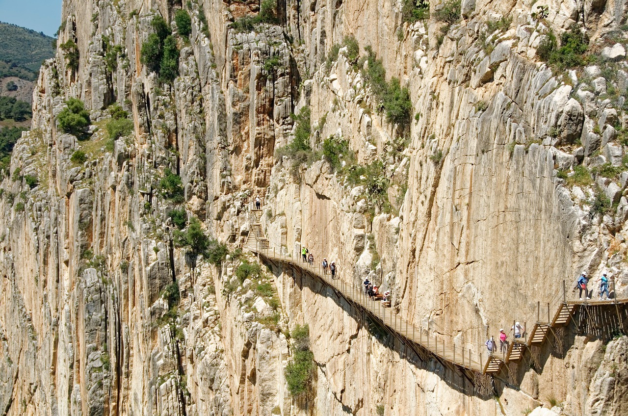 Explore El Camino: Cultural Immersion & Culinary Delights