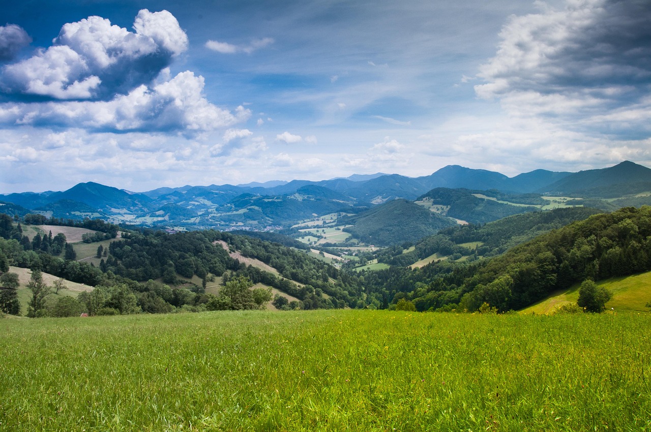 Explore Paradise Valleys Outdoors & Local Charms Beyond Golf