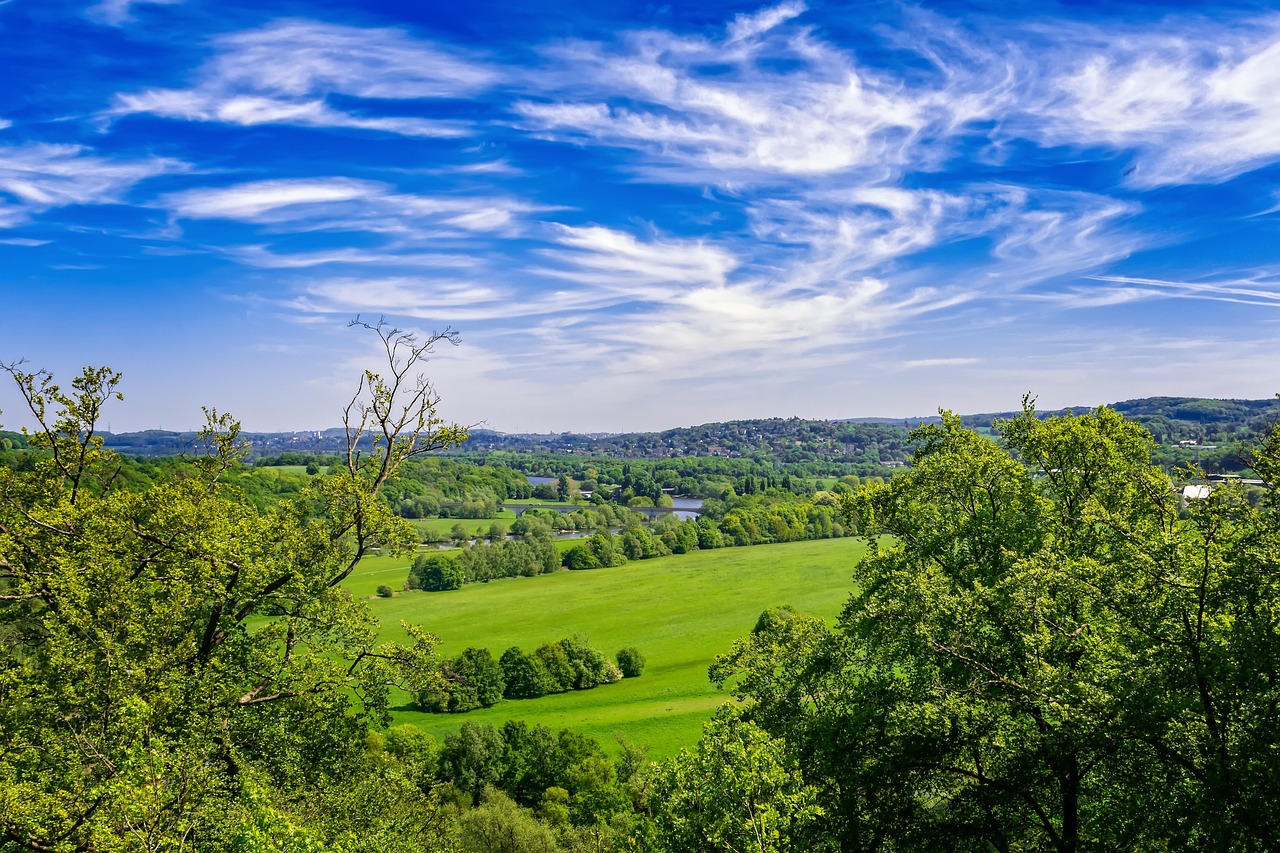 Explore Tumamoc Hills Trails, Cultural Treasures, and Culinary Gems