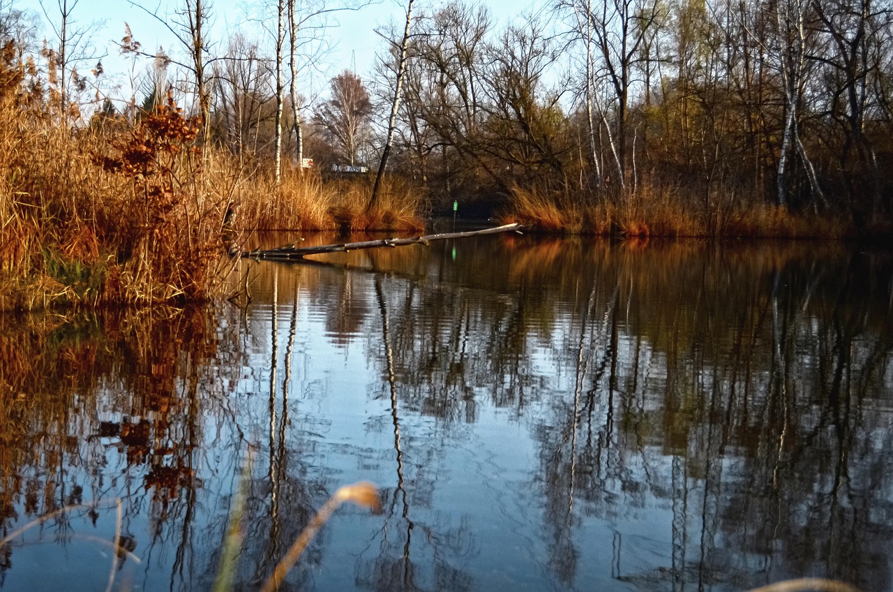 Leisure World