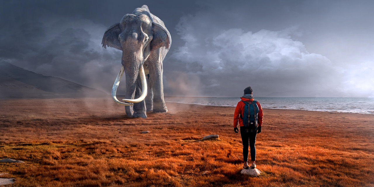 Mammoth Arizona