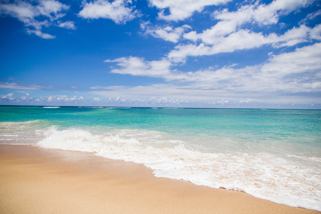 Mastering Paradise Reserve Real Estate: A Realtors Blueprint