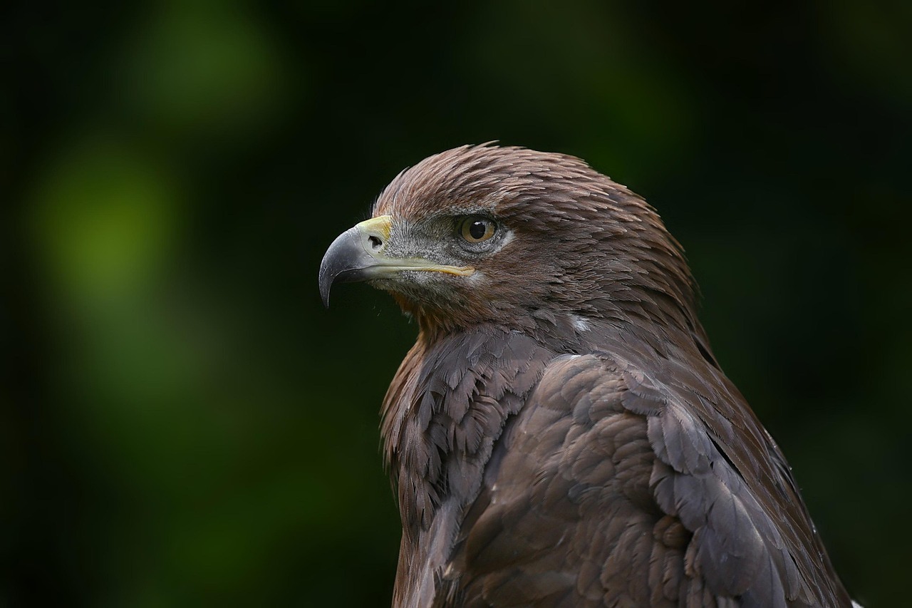 navigating-eagle-mountain-real-estate-ex-640x480-244tdm