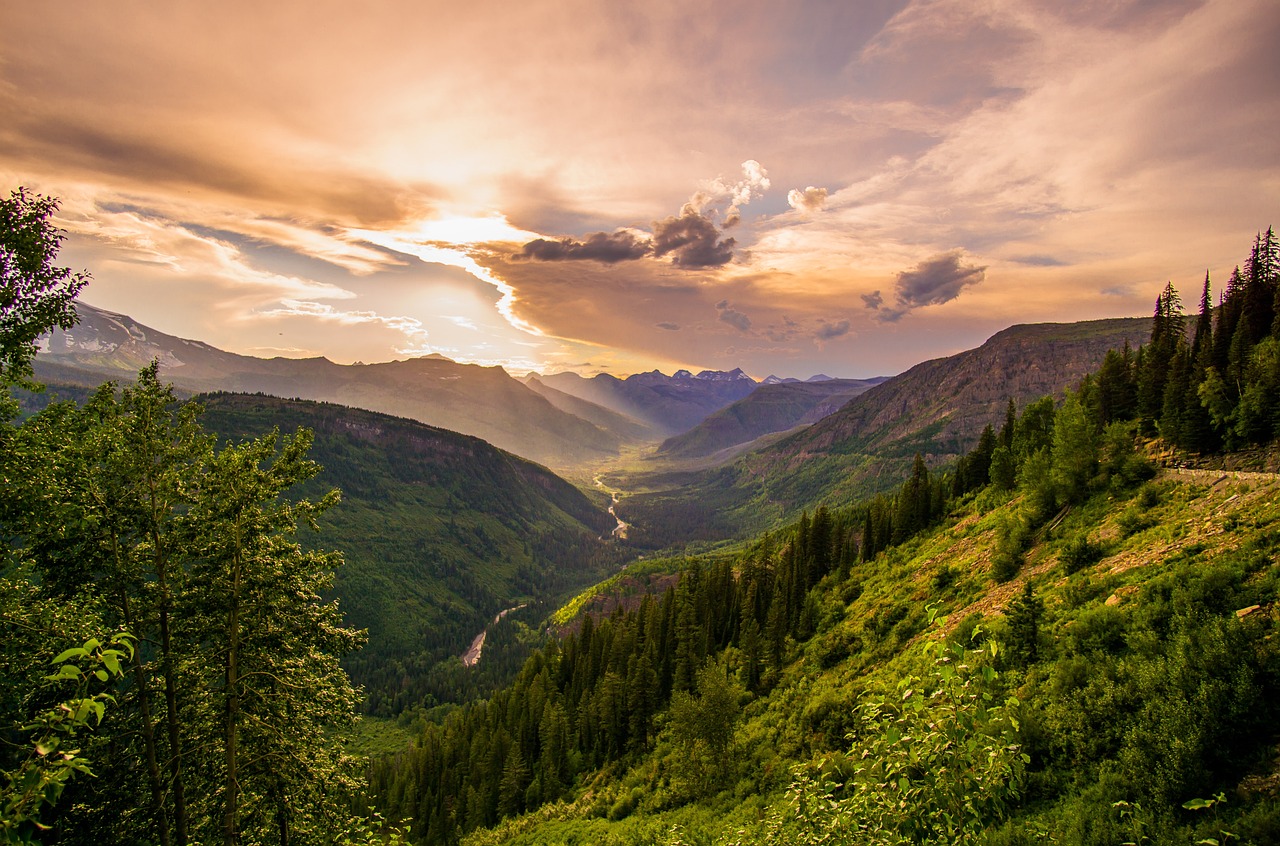 Realtors Guide: Unlocking Mummy Mountain Estates Success
