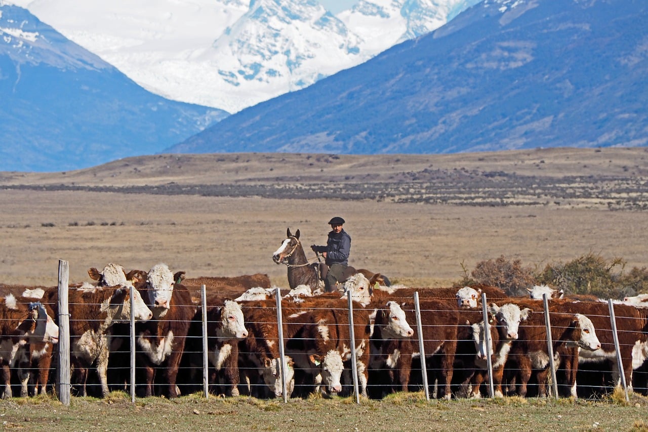 Uncover Warner Ranch South: Adventures, Culture & Cuisine