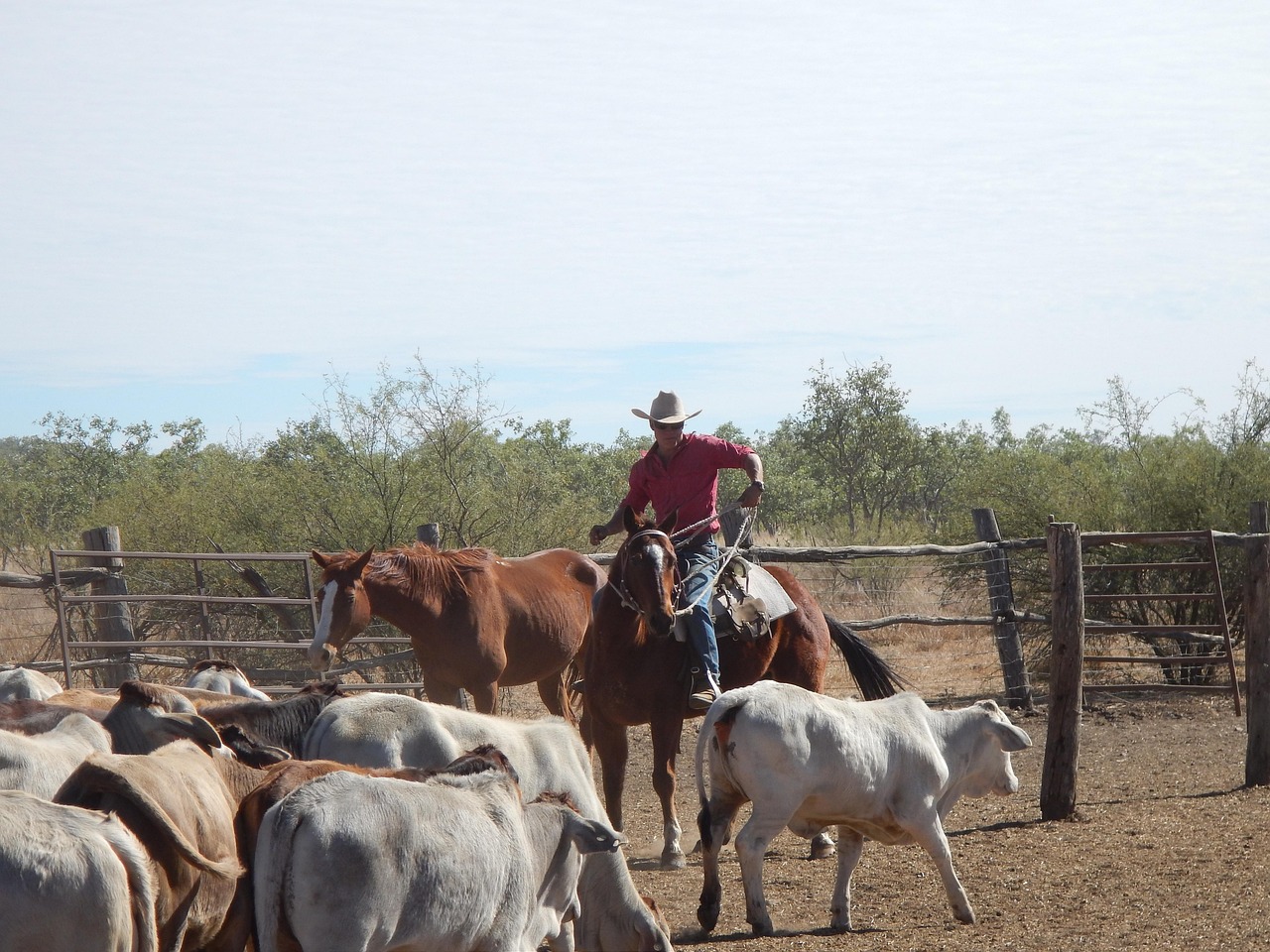 DC Ranch Country Club