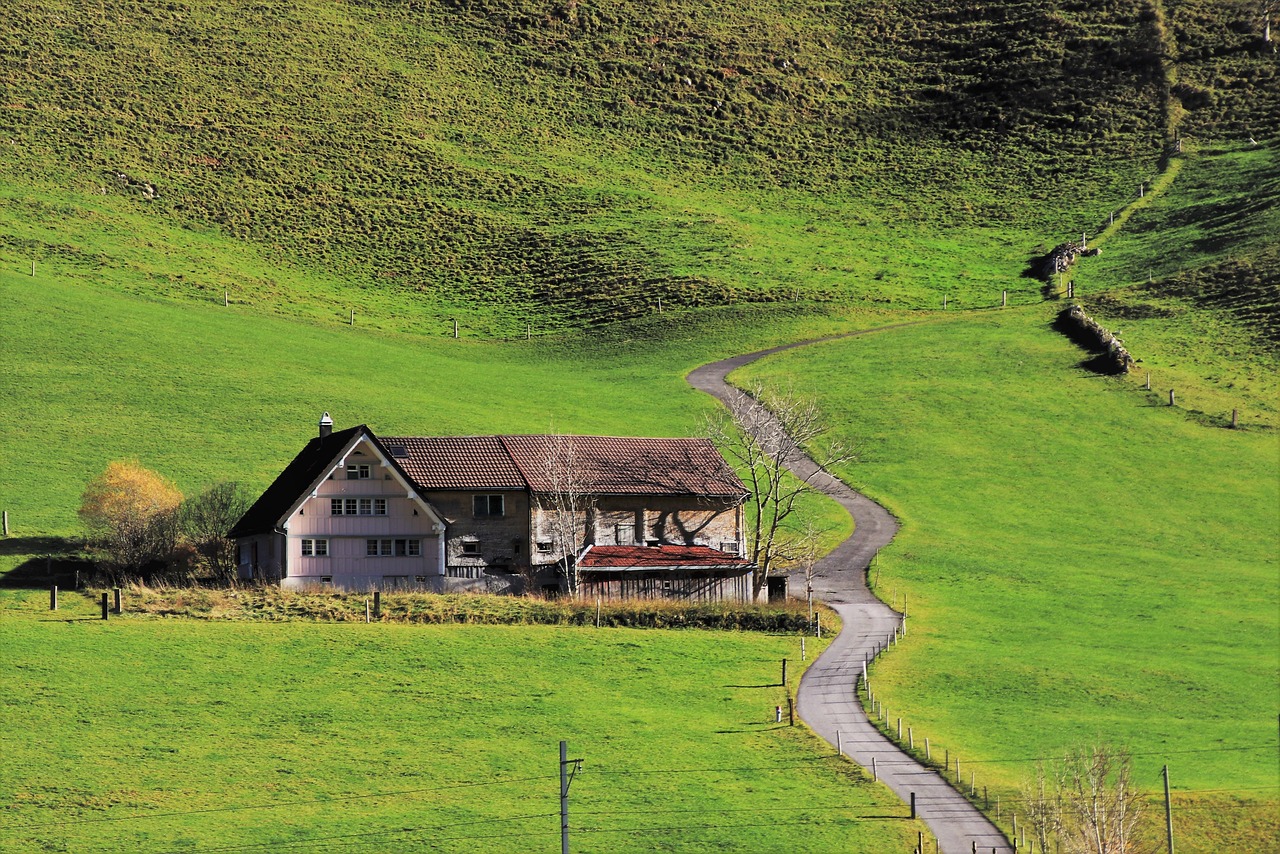 Explore Schnepf Farms: Homes, Events, Market Insights & Selling Tips